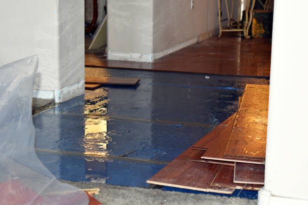 Professional Flood Cleanup technician working in Bloomington, IN